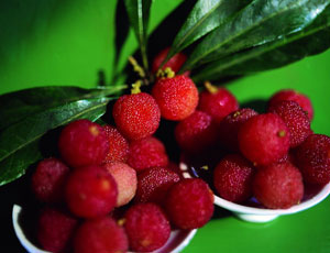 Berry Fruit Flavor